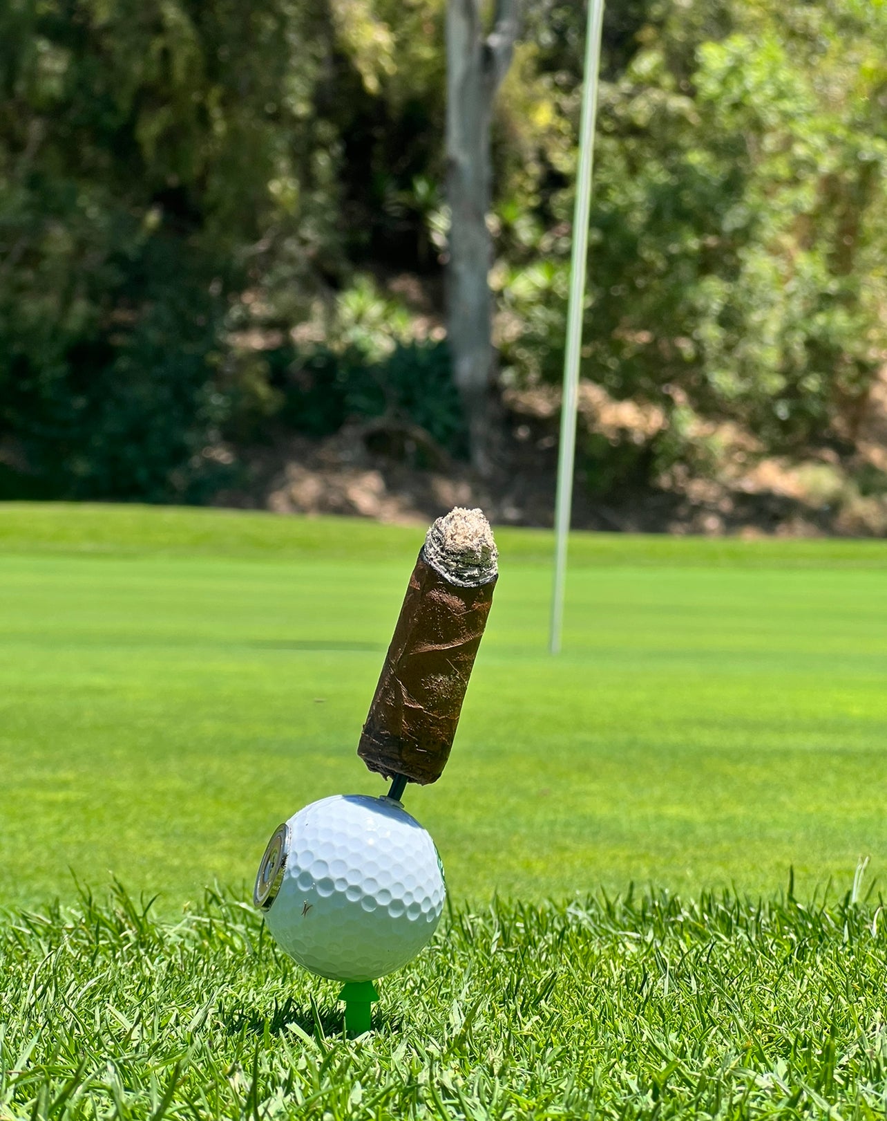 Cigar Holder with Magnet and Tee