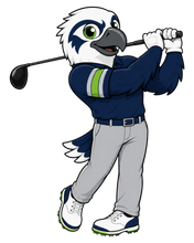 Load image into Gallery viewer, SEAHAWKS