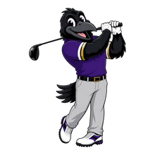 Load image into Gallery viewer, RAVENS