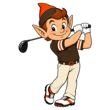 Load image into Gallery viewer, BROWNS