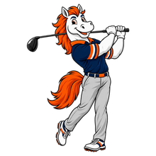 Load image into Gallery viewer, BRONCOS