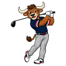 Load image into Gallery viewer, TEXANS