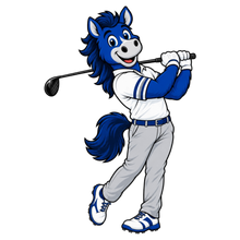 Load image into Gallery viewer, COLTS