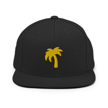 Load image into Gallery viewer, Palma de oro colored Snapback Hat