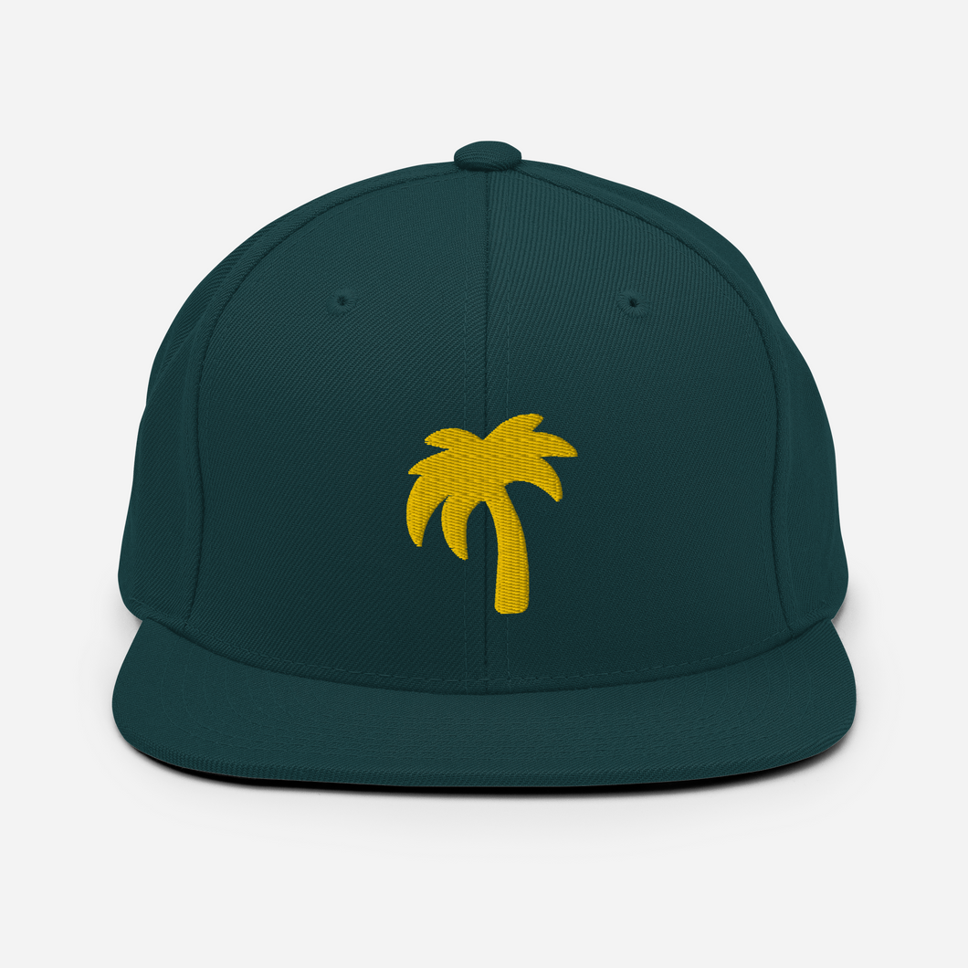 MAJOR Snapback Hat